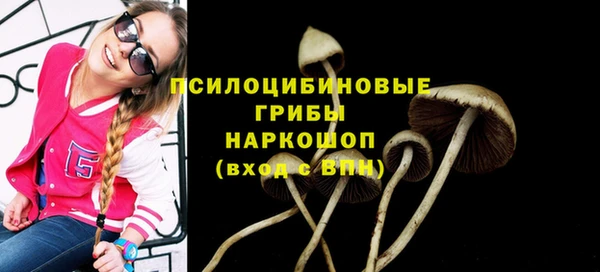 марки lsd Алексеевка