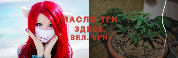 стафф Арсеньев