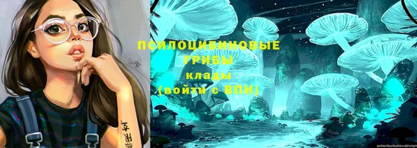 дмт Нягань