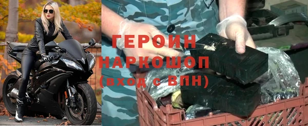 индика Няндома
