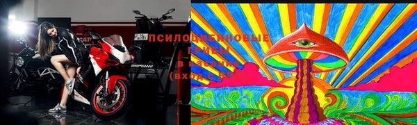 хмурый Алексин