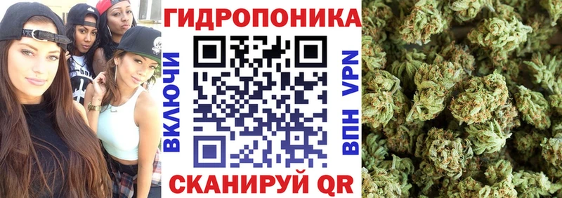 Бошки Шишки Bruce Banner Лобня
